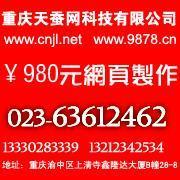 供應九龍坡網站建設公司及軟件開發服務，助力燈具照明企業拓展市場