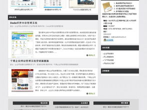 ASP精品網絡建設公司網站源碼與軟件開發解決方案