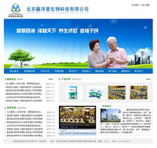 網(wǎng)頁設(shè)計與網(wǎng)站建設(shè) 從視覺美感到技術(shù)實現(xiàn)的全方位解析