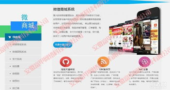 合肥專業網站建設與數字化解決方案 打造企業線上核心競爭力