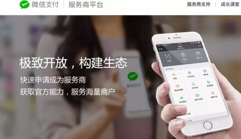 江蘇中理網(wǎng)絡(luò)科技 服務(wù)商定位、準(zhǔn)入路徑與網(wǎng)絡(luò)技術(shù)服務(wù)解析